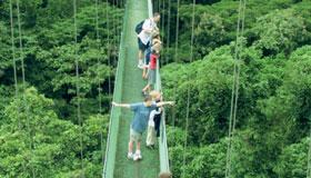 cover-ziplining.jpg