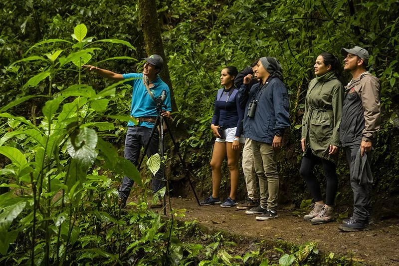 guias latéraux puntarenas.webp
